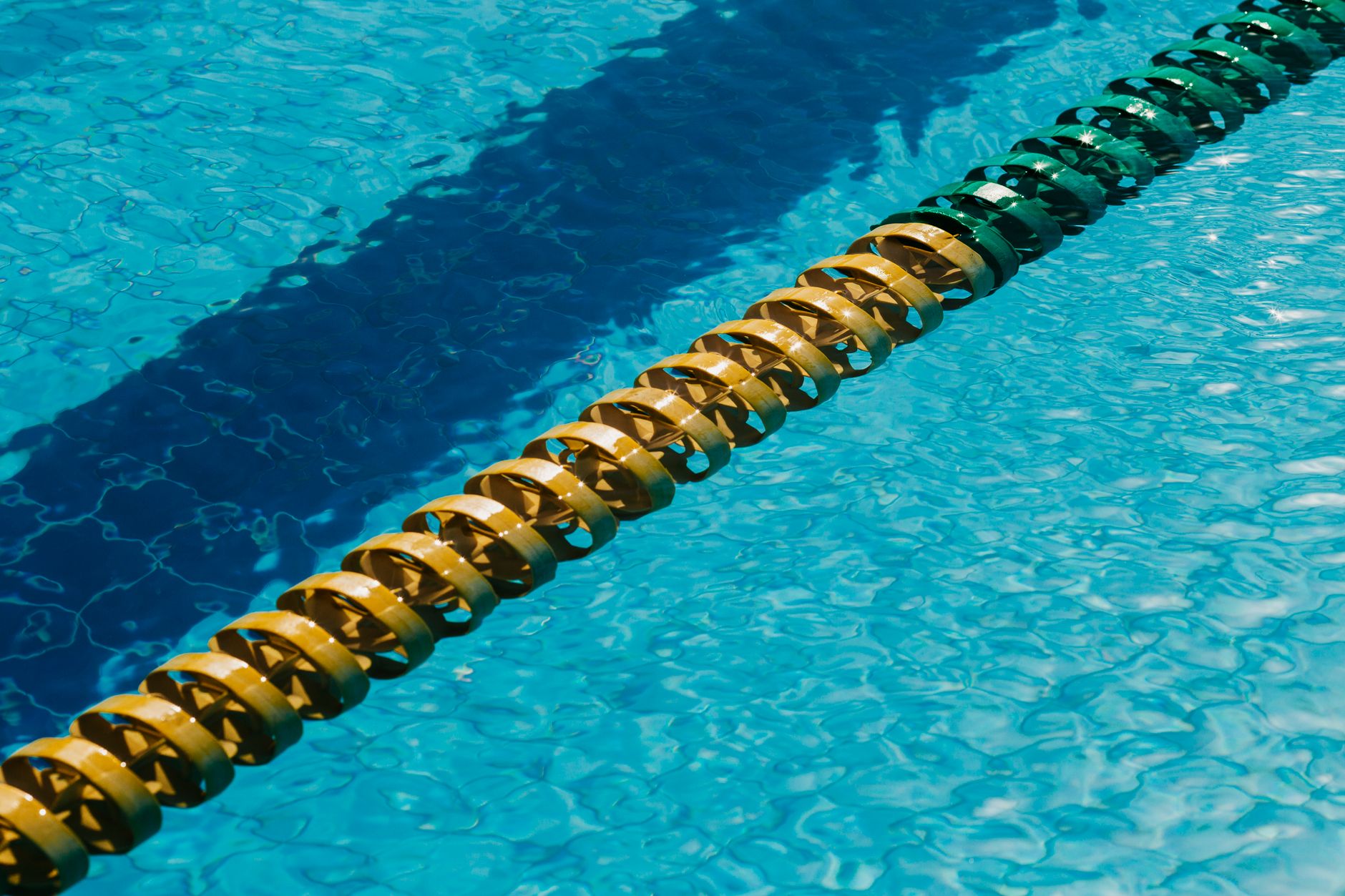 piscine eau verte