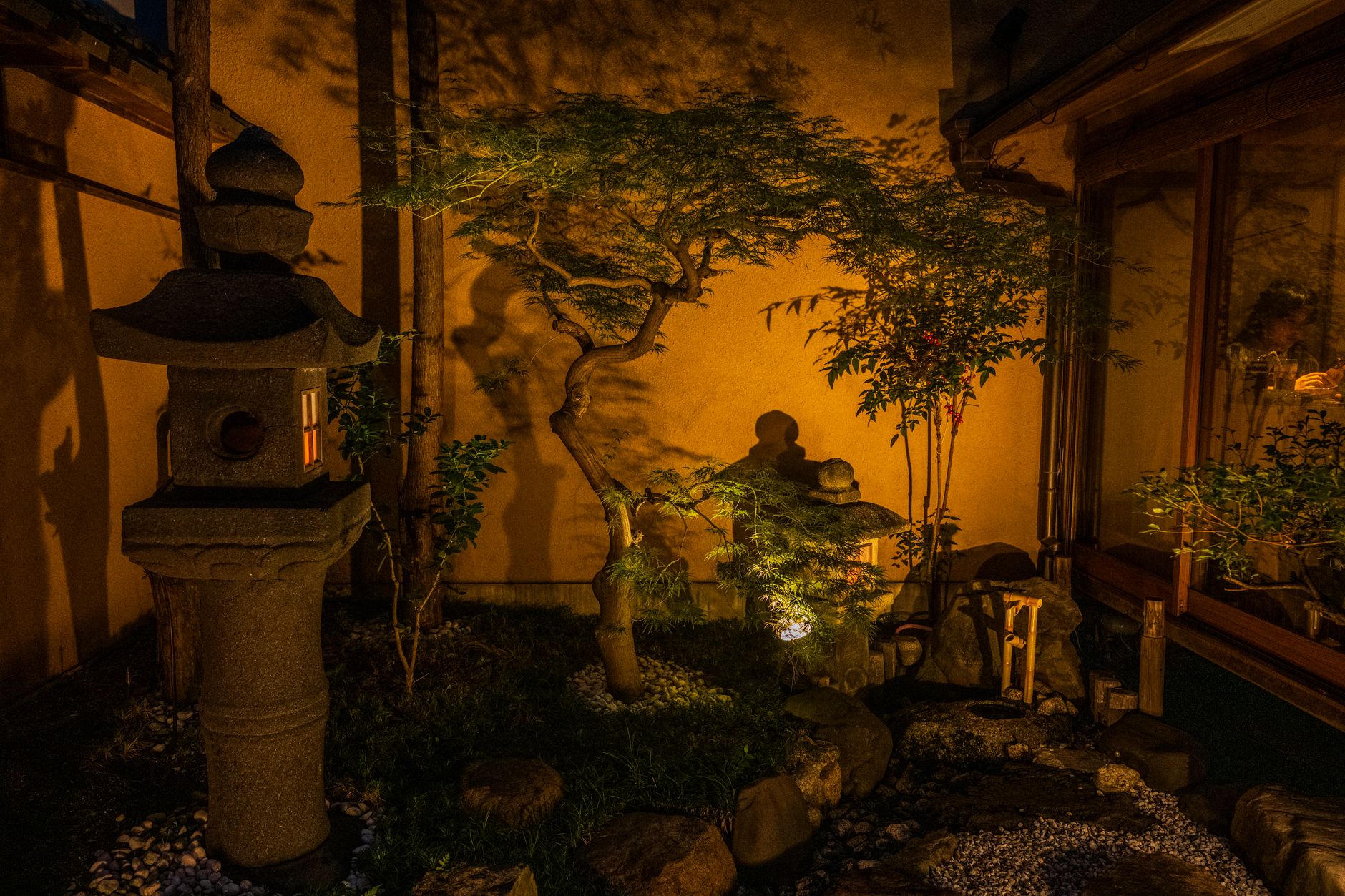 jardin japonais érables bambous