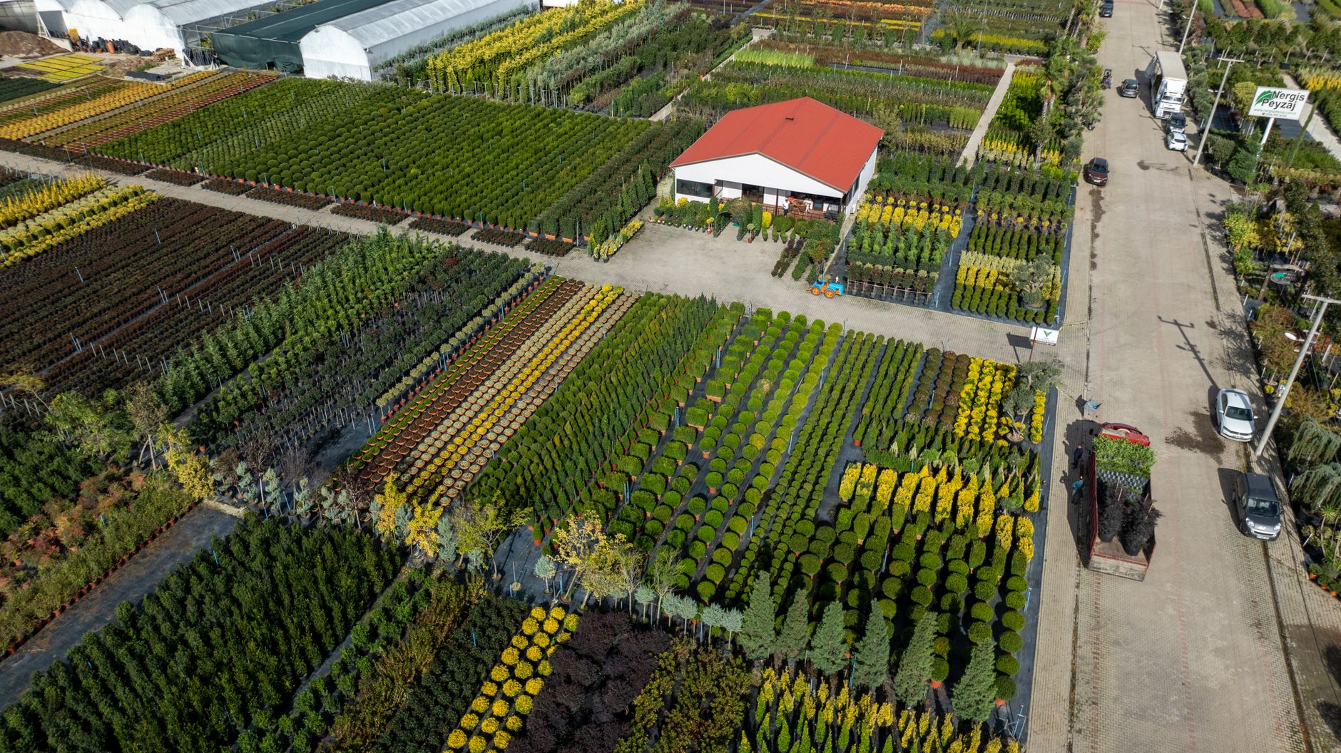 pépiniériste pépinière plantes